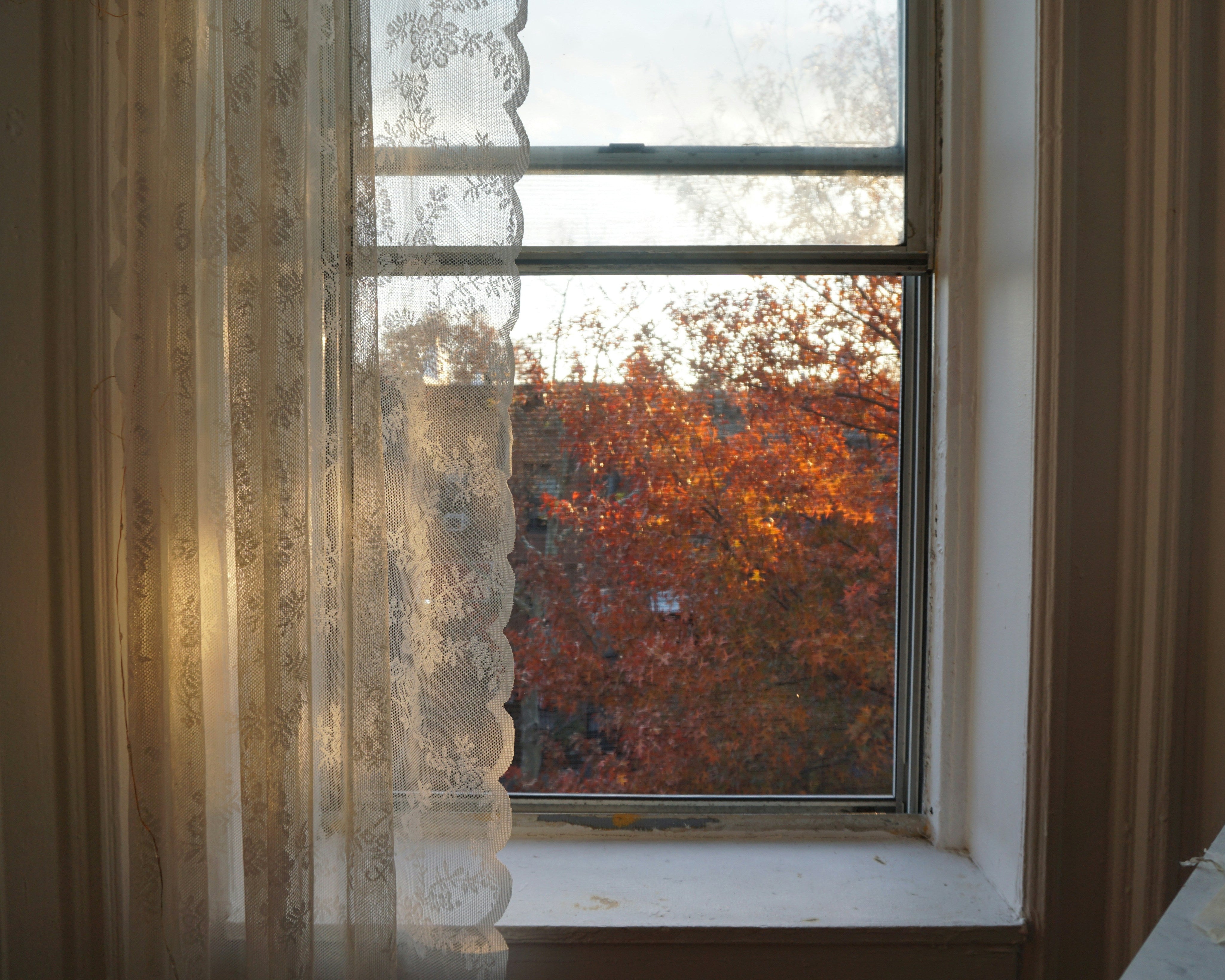 The Science of Slowing Down: Why Fall Is the Season for Rest & Recalibration