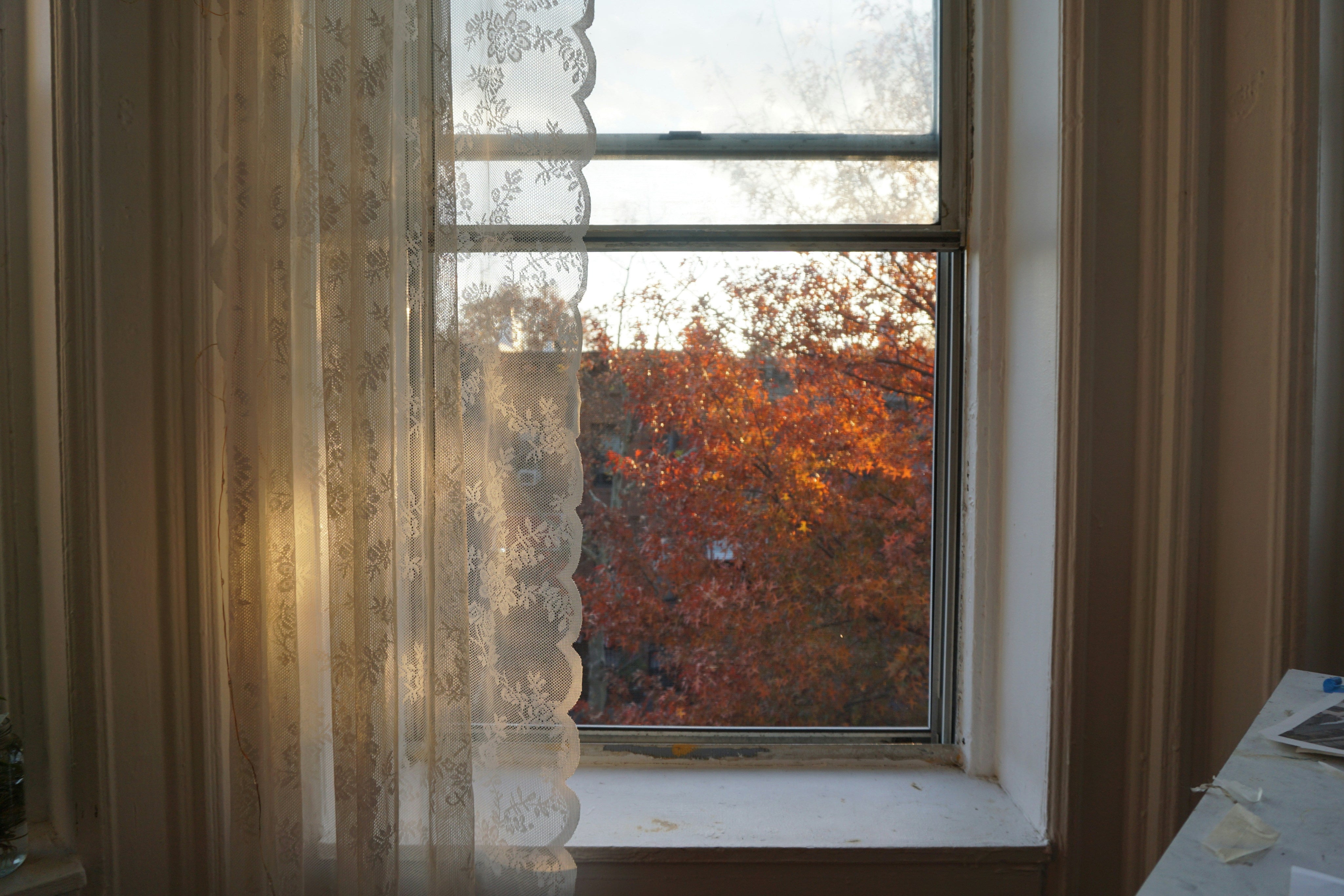 The Science of Slowing Down: Why Fall Is the Season for Rest & Recalibration