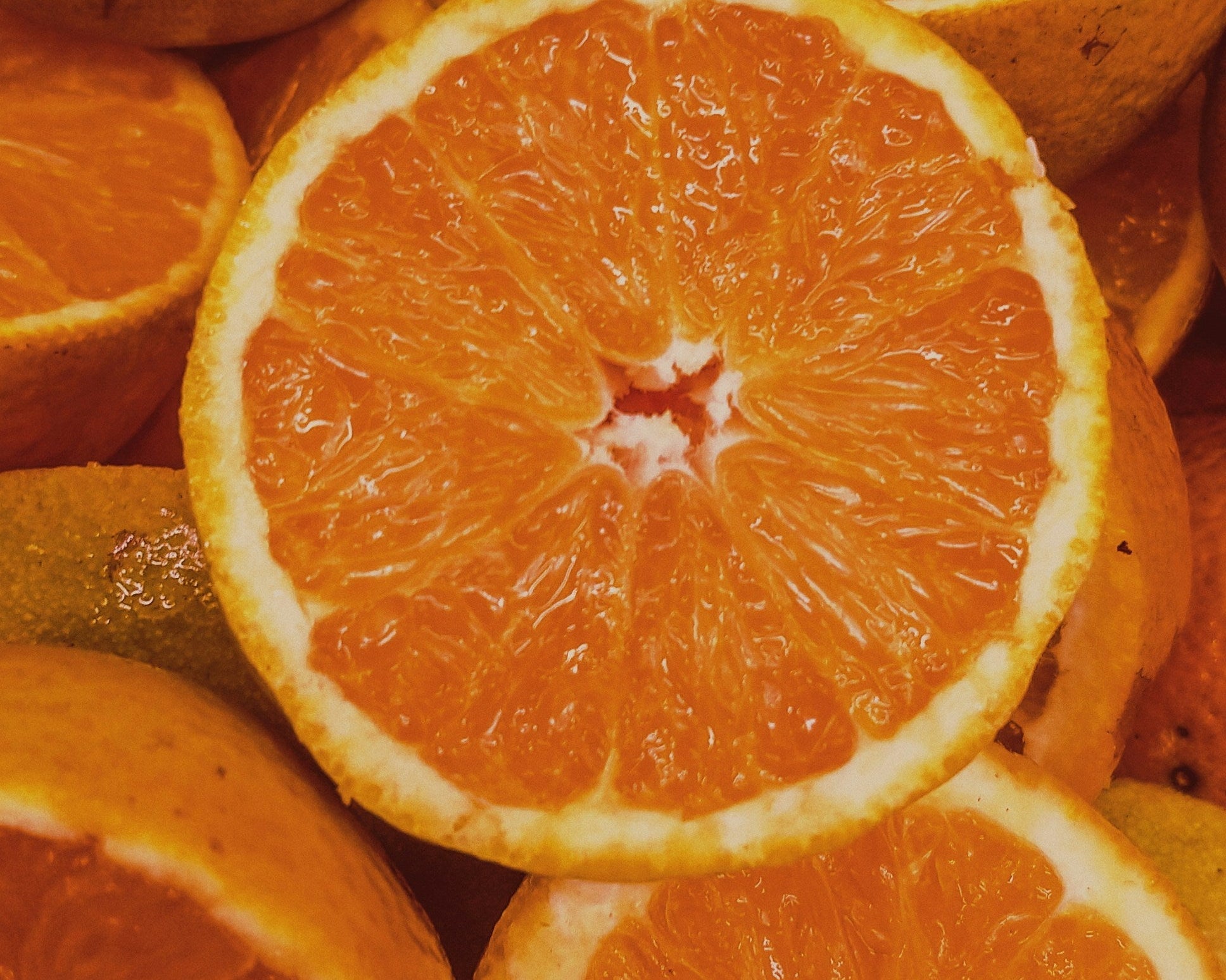 Top Hydrating & Skin-Supporting Foods for Winter