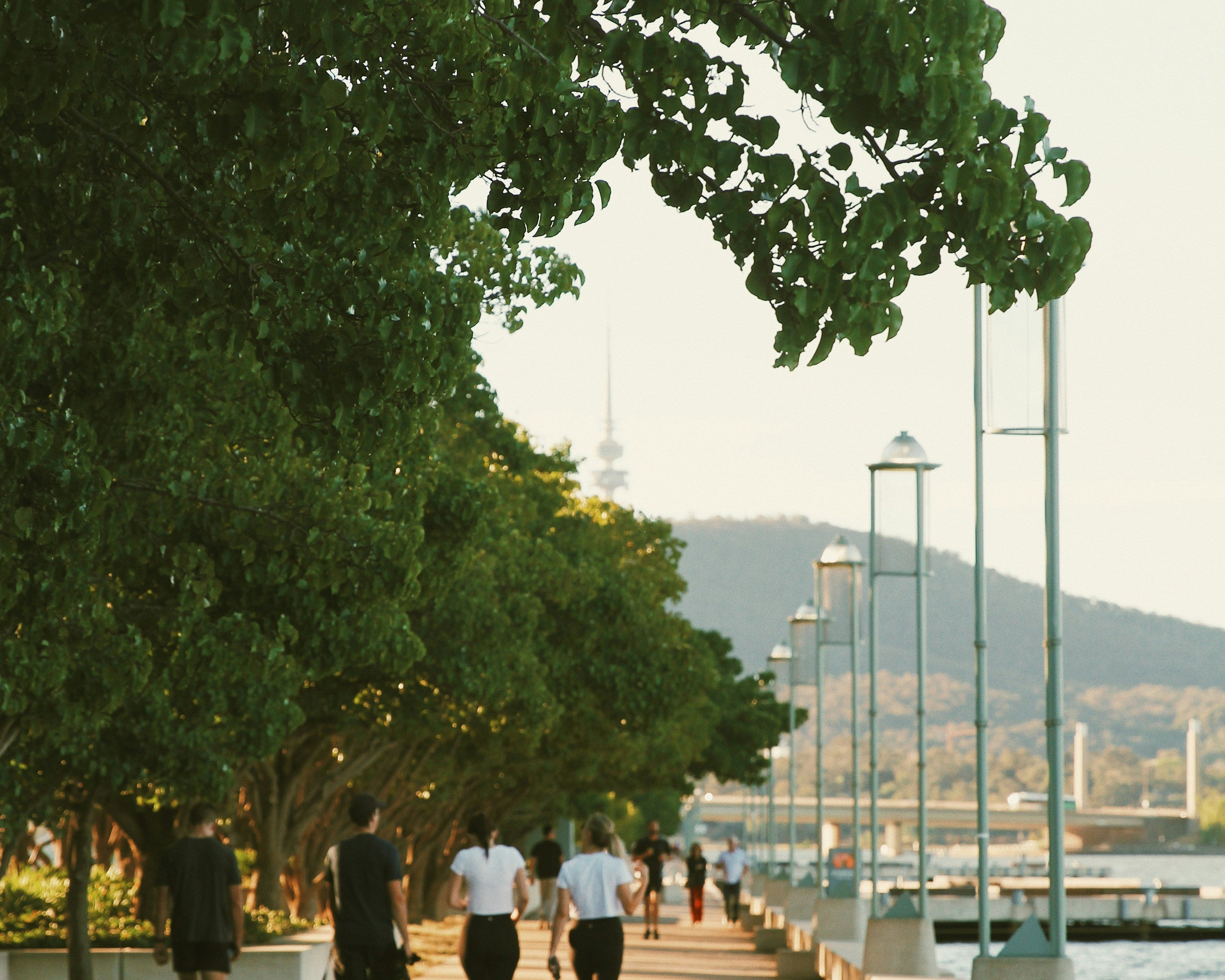 Why 10K Steps a Day Isn’t Just a Trend — It’s a Wellness Game-Changer
