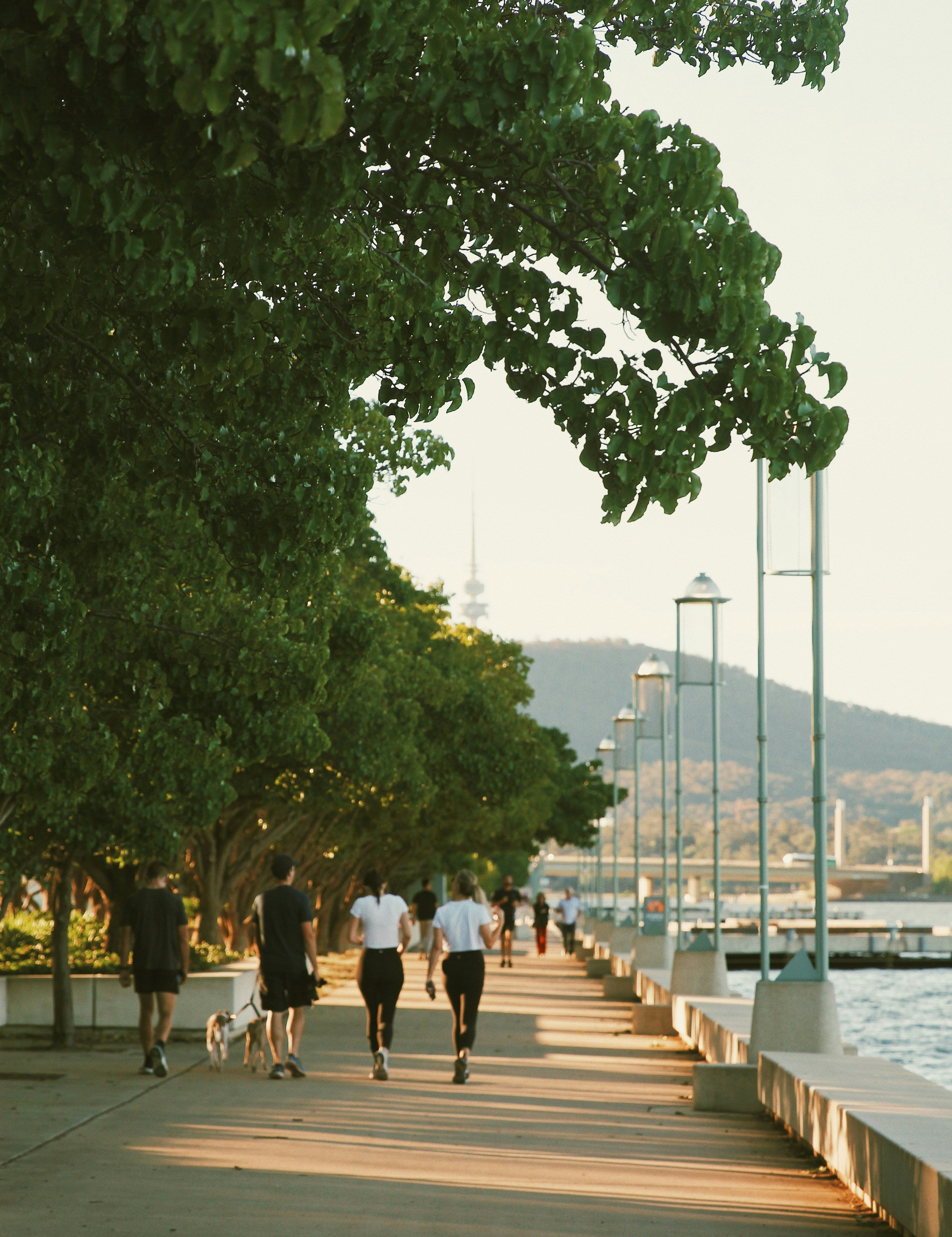 Why 10K Steps a Day Isn’t Just a Trend — It’s a Wellness Game-Changer