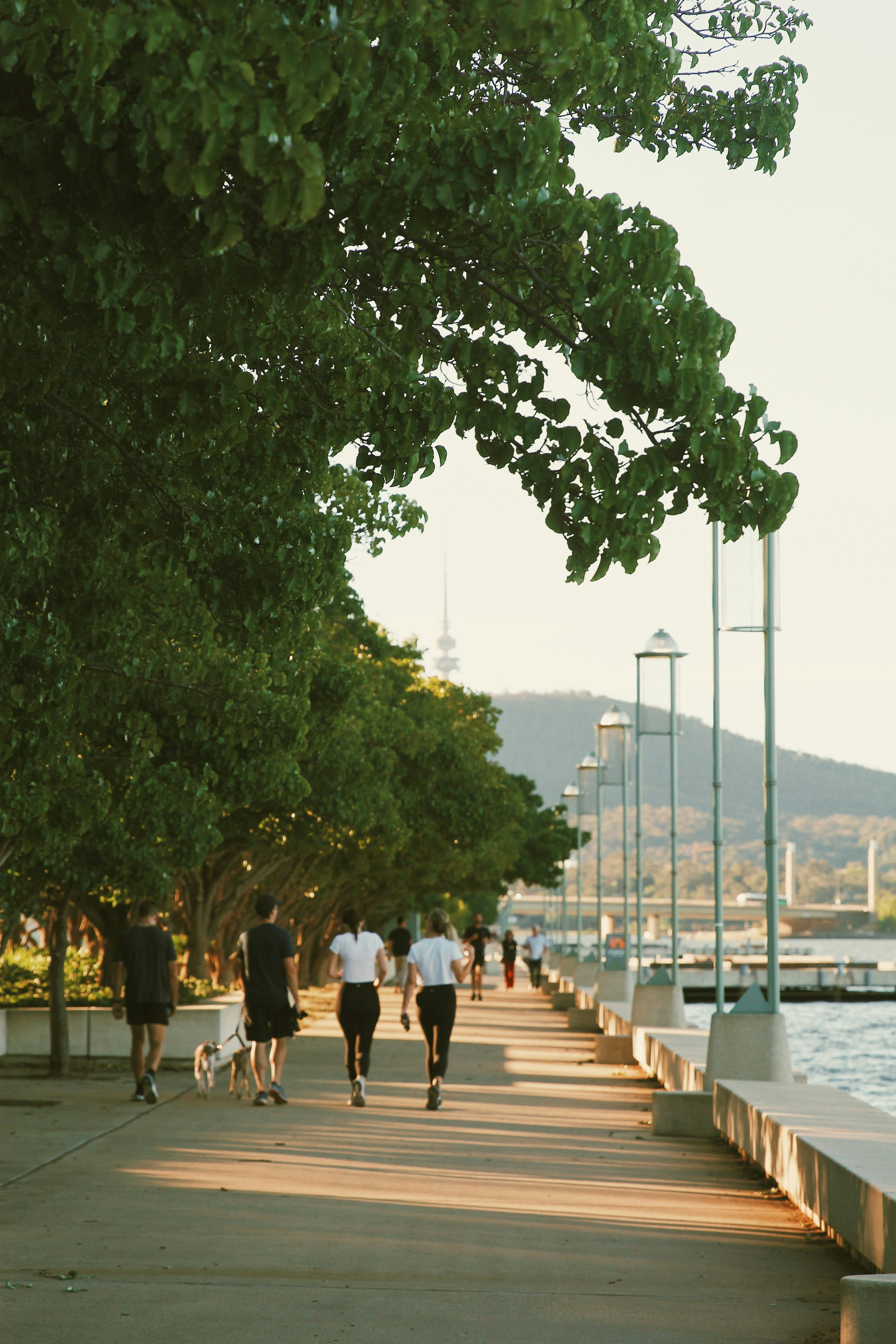 Why 10K Steps a Day Isn’t Just a Trend — It’s a Wellness Game-Changer